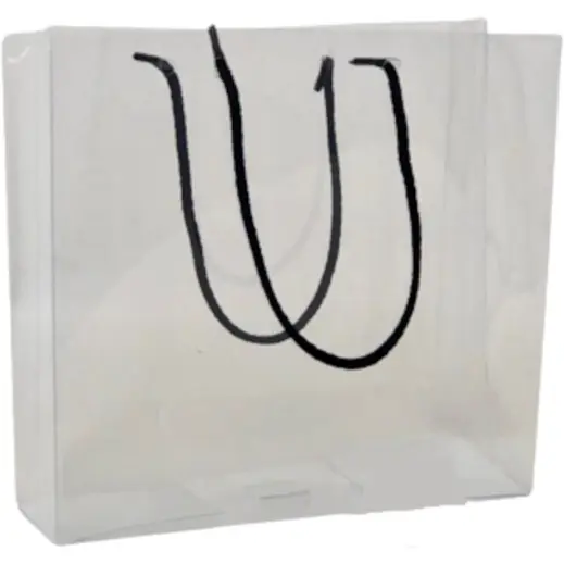 PVC Gift Bag - Pack Of 10