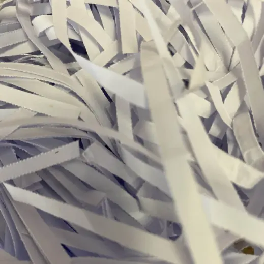 Shredded Paper (90g)