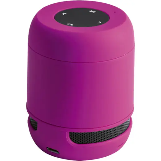 Braiss Bluetooth Speaker