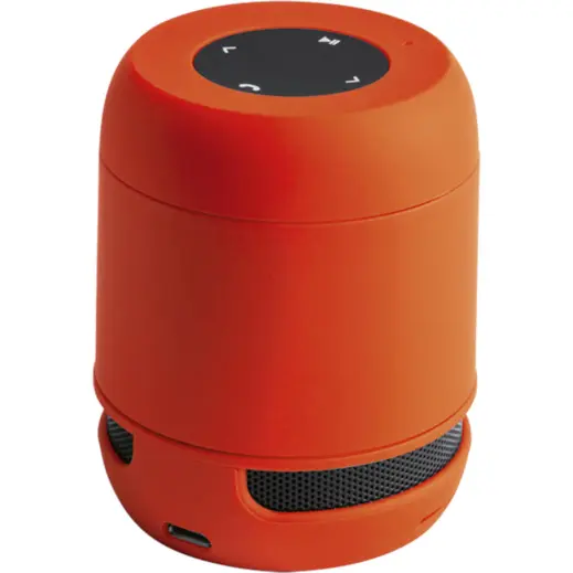 Braiss Bluetooth Speaker