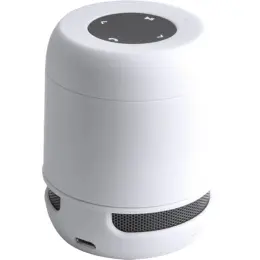 Braiss Bluetooth Speaker