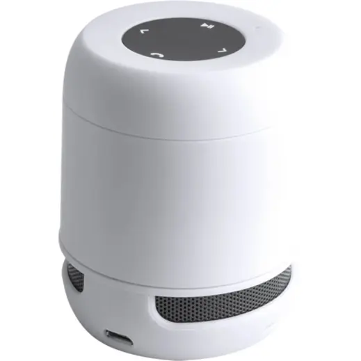 Braiss Bluetooth Speaker