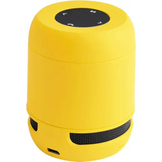 Braiss Bluetooth Speaker