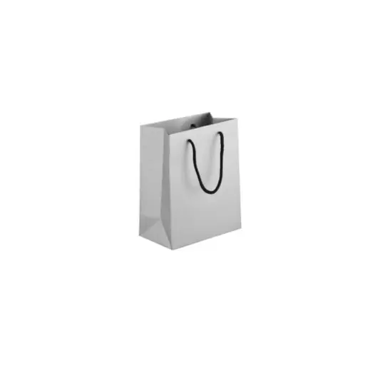 230gsm Matte Gift Bag - 14cm