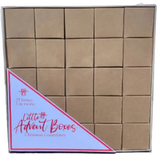 Plain DIY Advent Boxes