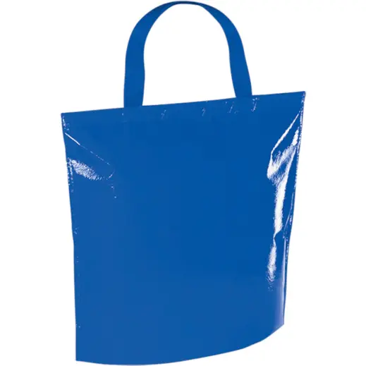 Hobart Cooler Bag