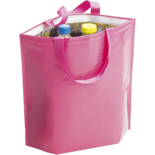 Hobart Cooler Bag