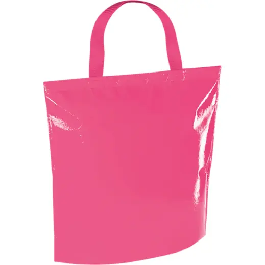 Hobart Cooler Bag