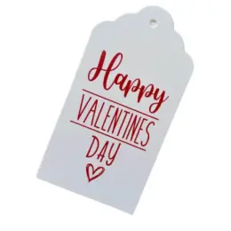 Valentines Day Gift Tag - Pack Of 10