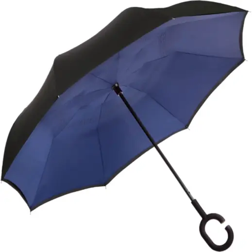 Reversible Umbrella