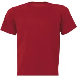 Barron Promo Cotton T-Shirt
