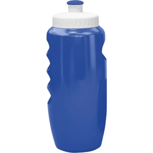 500ml Visi Stripe Cross Train Water Bottle