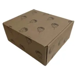 Shipping Box - Protea (Pack Of 10)