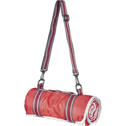 Master Picnic Blanket