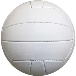 Volleyball White Size 5 Image