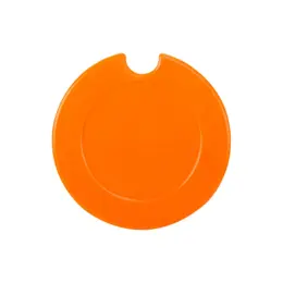 Round License Disc - Orange Image