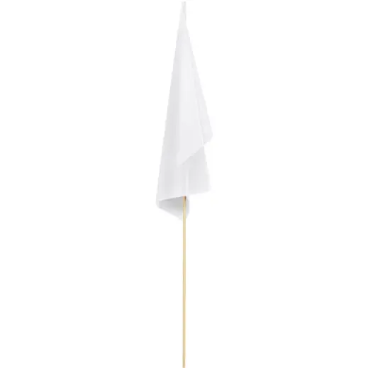 Champion Medium Hand Flag - 45cm x 30cm Blank