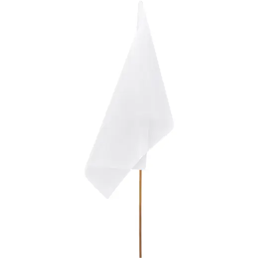 Champion Large Hand Flag - 90cm x 60cm Unbranded