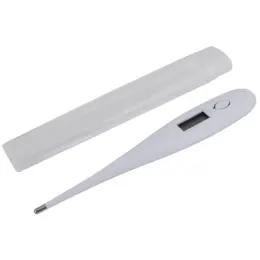 Digital Thermometer Display Image