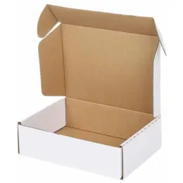 Shipping Box - A3 Mailer White Image