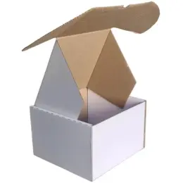 Shipping Box - Tall Square White Open Image