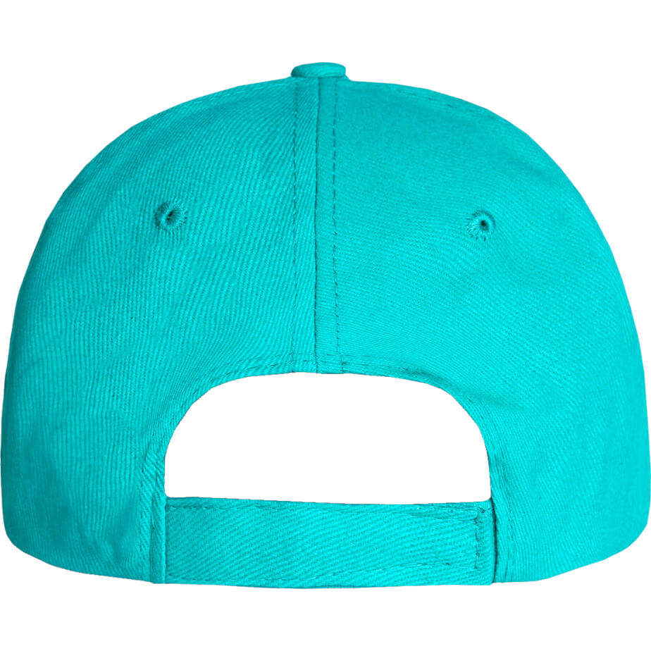 FWRD Promo 6 Panel Cap Turquoise Back