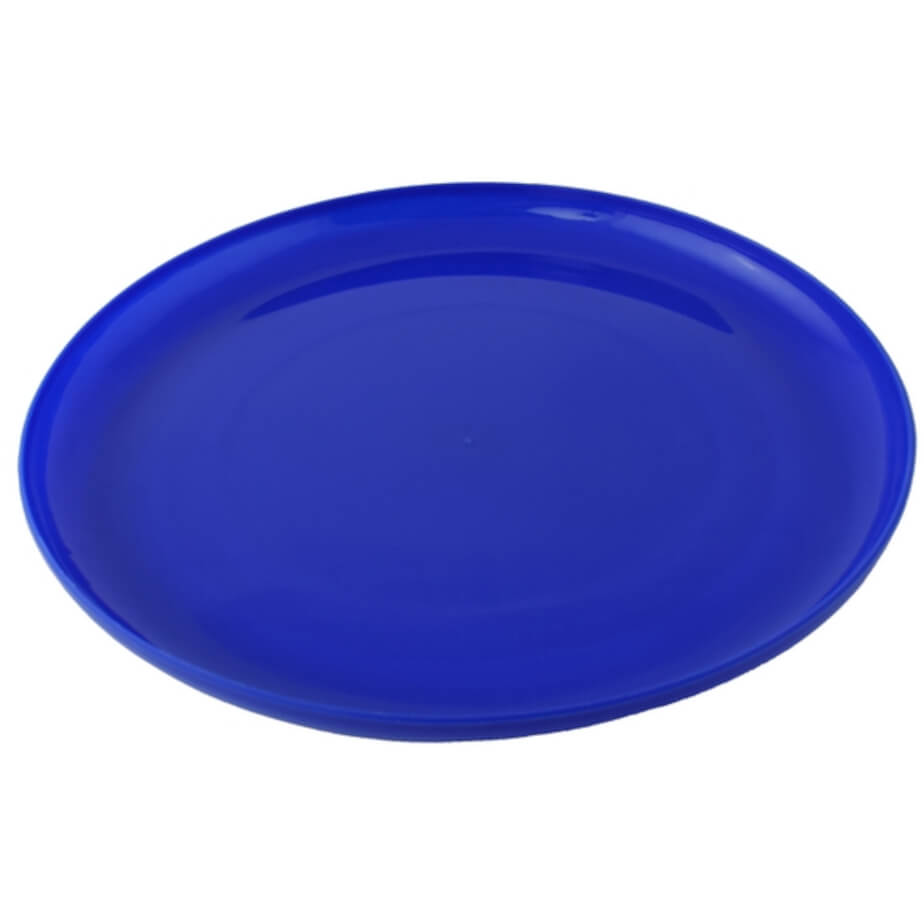 Fun Frisbee Blue 3