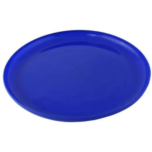 Fun Frisbee Blue 3
