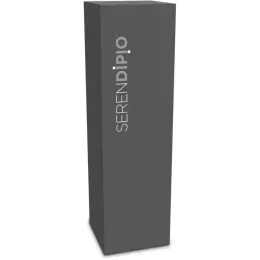 Serendipio Jagger Stainless Steel Water Bottle Box
