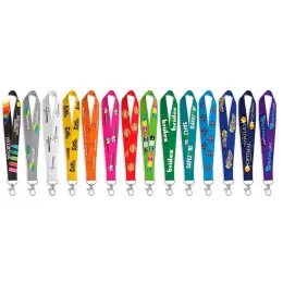 Colour-Max Mini Keyholder - Satin Finish Branded Colours Image