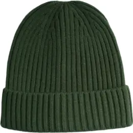 FWRD Glacier Ribbed Beanie Olive Image