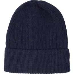 FWRD Ice Beanie Navy