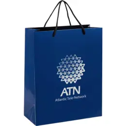 Altitude Dazzle Midi Paper Gift Bag Navy Branded Image