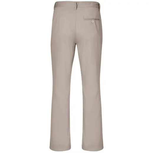 Mens Chino Pants Stone Back