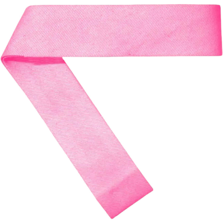 FWRD Hat Band Pink