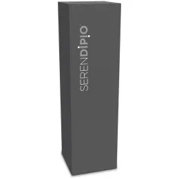 Serendipio Baxter Stainless Box