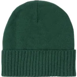 FWRD Summit Beanie Bottle Image