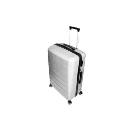 Silver Pioneer Luggage Bag 20