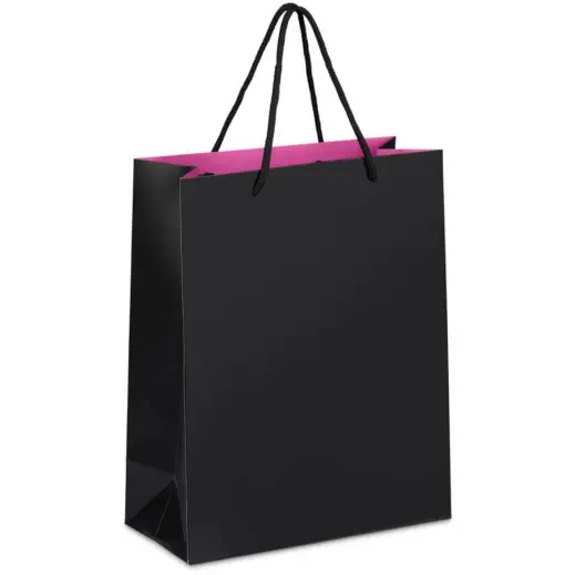 Pink Altitude Finery Midi Paper Gift Bag