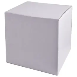 Coffee Mug With Box