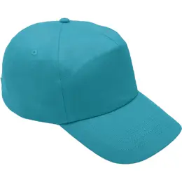 5 Panel Cotton With Hard Front Cap image