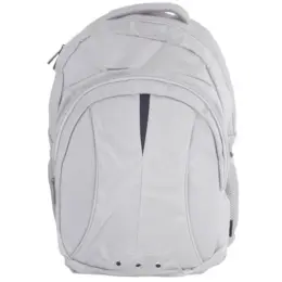 Sector Laptop Backpack Silver Front