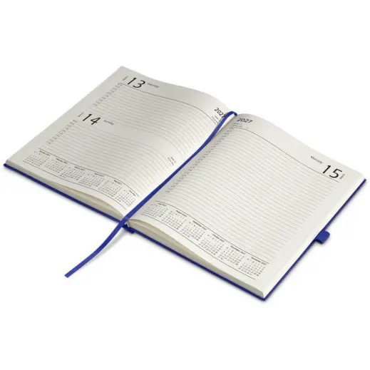Altitude Advantage Maxi 2027 Diary Open Page A Day