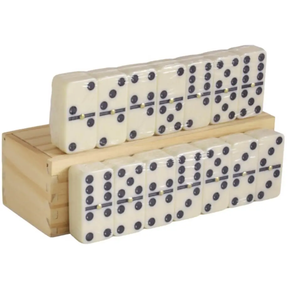 Double Six Domino Set Display