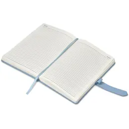 Altitude Enterprise A5 2027 Diary Light Turquoise Notes