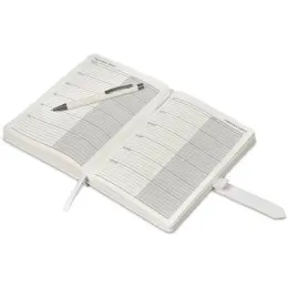 Altitude Enterprise A5 2027 Diary & Omega Pen Set Open Important Dates