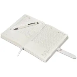 Altitude Enterprise A5 2027 Diary & Omega Pen Set Open Page A Day