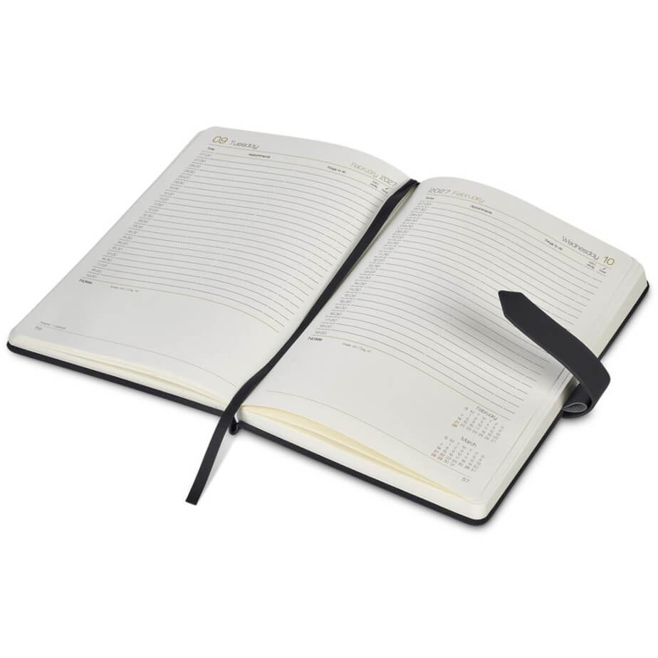 Altitude Enterprise A5 2027 Diary & Milestone Pen Open Page A Day