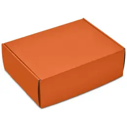 Altitude Omega Gift Box Orange Closed