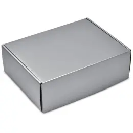 Altitude Dazzle Gift Box Silver Closed